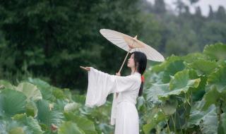 梦幻西游夏夜喜雨